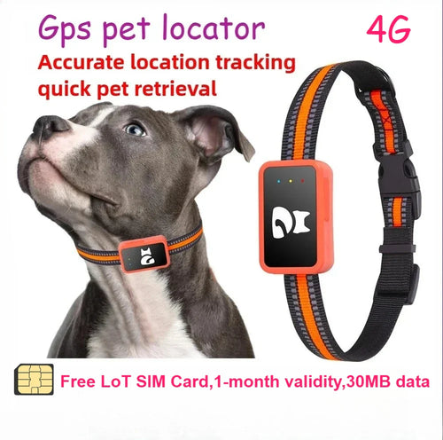 4G Waterproof GPS Tracker Collar for Dogs and Cats
