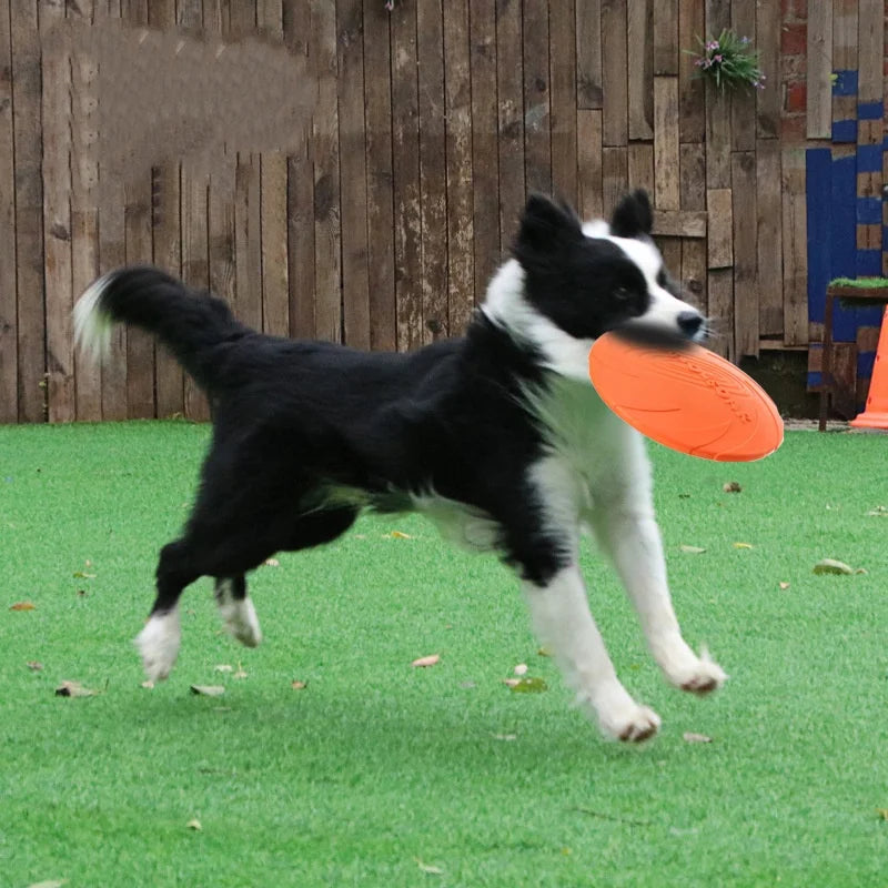 Silicone Flying Disc Chew Toy for Dogs - view 3