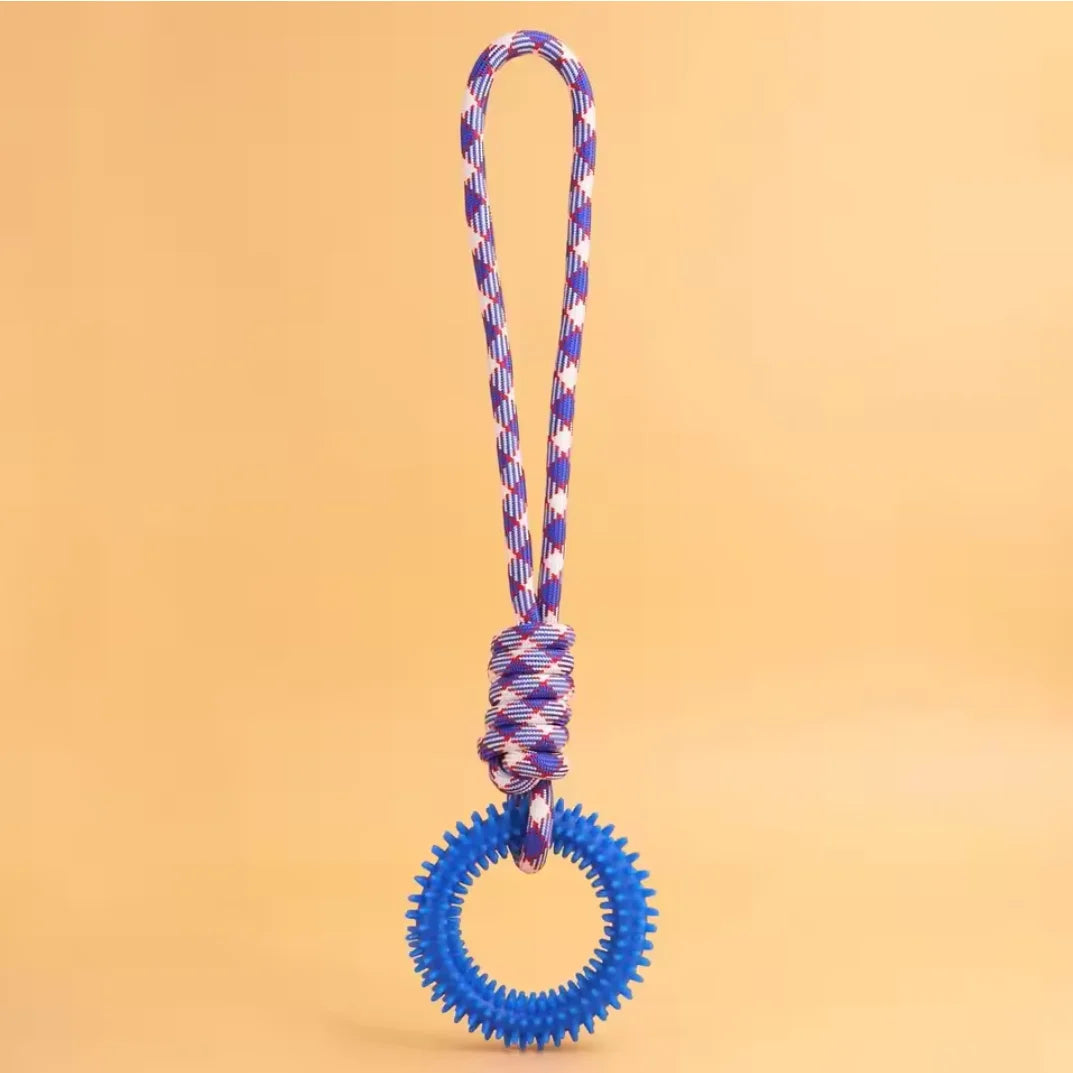 Spiked Ring Interactive Dog Training Toy