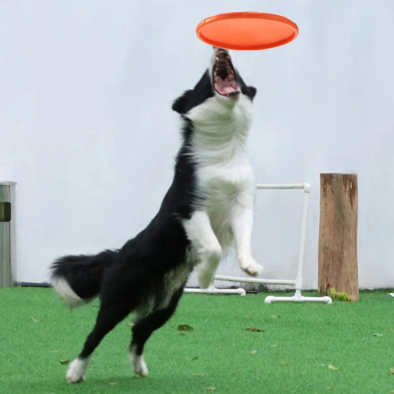 Silicone Flying Saucer Funny Dog Cat Toy Dog Game Flying Discs Resistant Chew Puppy Training Interactive Pet Supplies