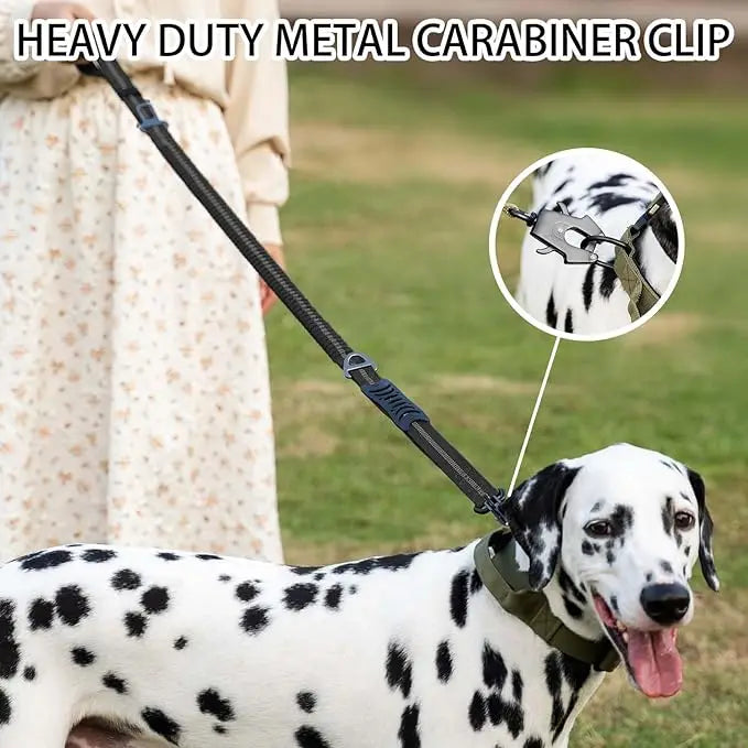 Shock-Absorbing Bungee Dog Leash with Car Seatbelt