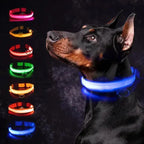 Flashing LED Night Safety Collar for Small Dogs
