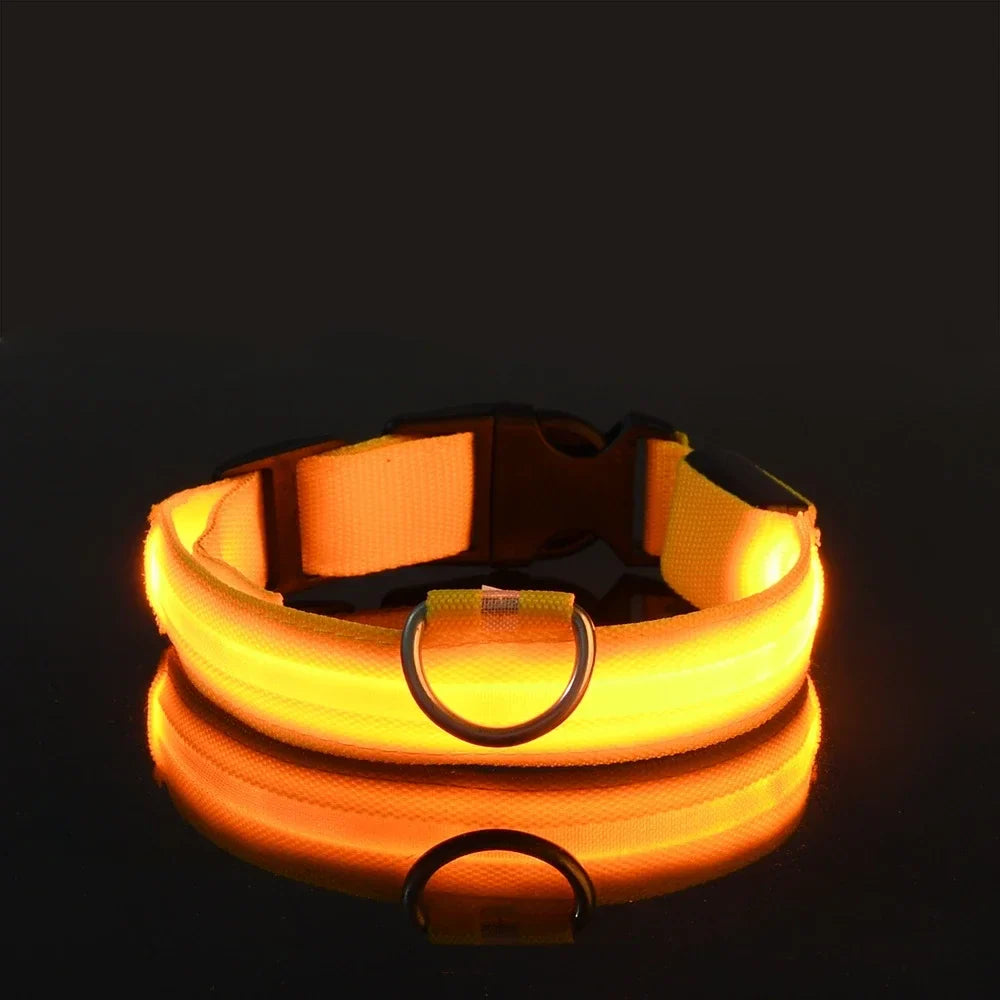 Glow-in-the-Dark LED Dog Leash - view 10