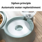 Automatic Pet Food and Water Fountain