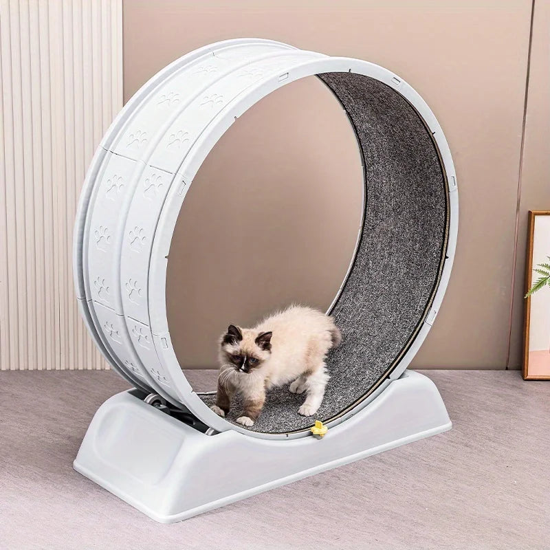 Ultra-Quiet Cat Exercise Wheel Toy with Lock