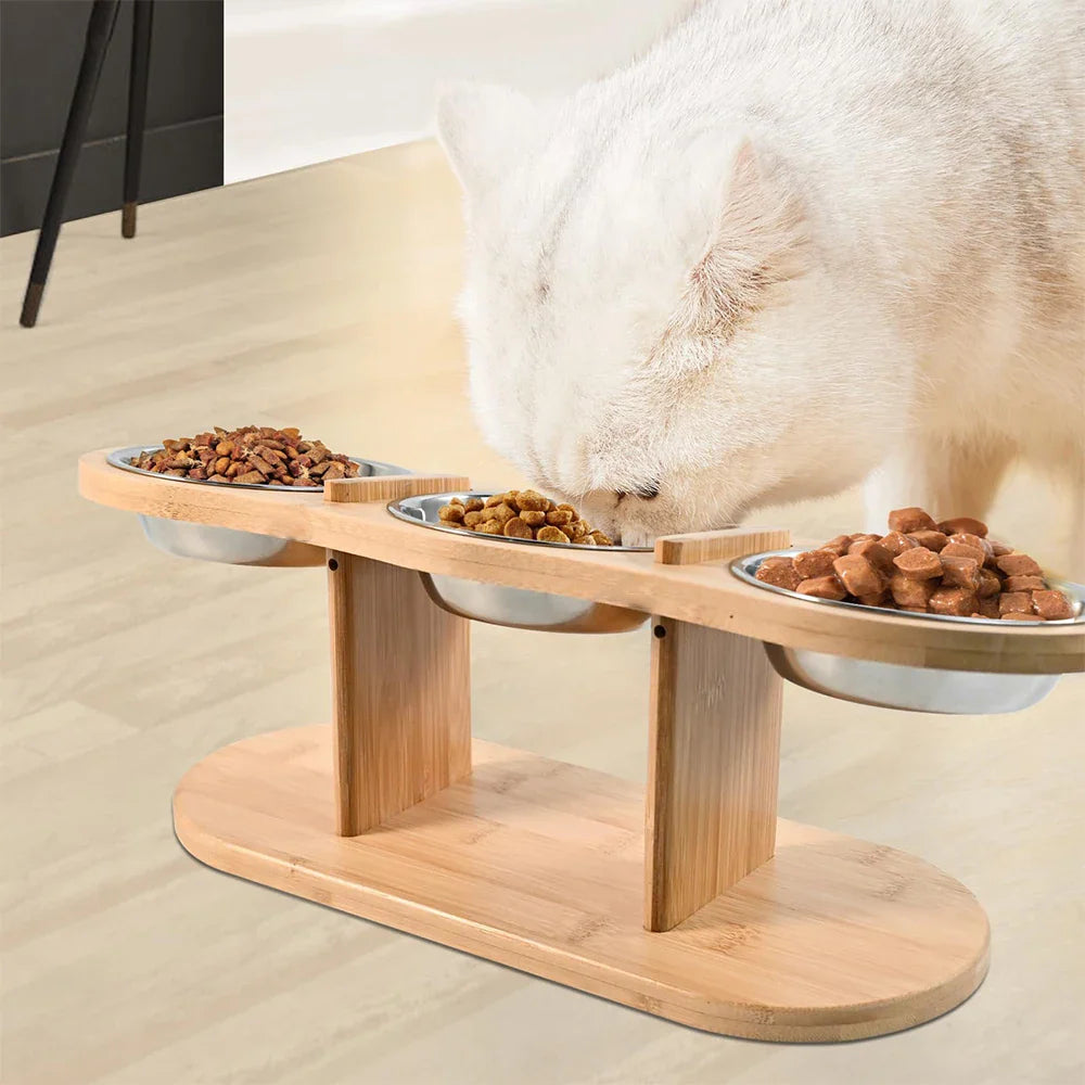 Raised 3-Bowl Cat Feeder with Wood Stand