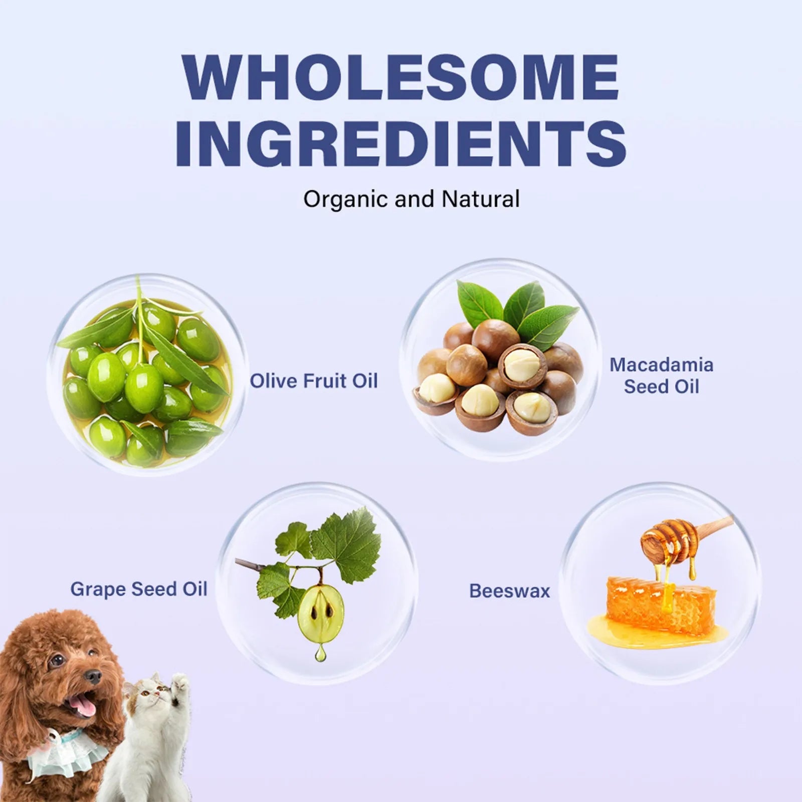 Moisturizing Paw Balm for Dogs and Cats