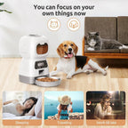 3.5L Wi-Fi Automatic Cat Feeder with Voice Recorder - view 6