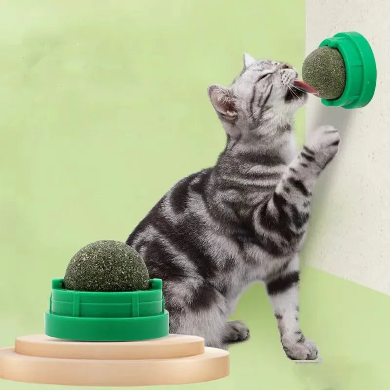 Wall-Mounted Catnip Ball Cat Toy
