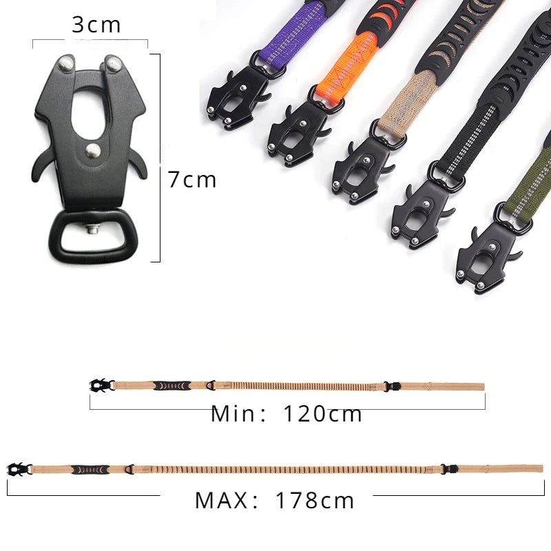 Shock-Absorbing Bungee Dog Leash with Car Seatbelt