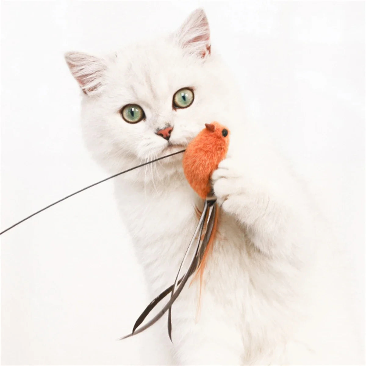 Feather Wand Cat Teaser Toy