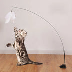 Hands-Free Suction Cup Bird Feather Cat Wand Toy