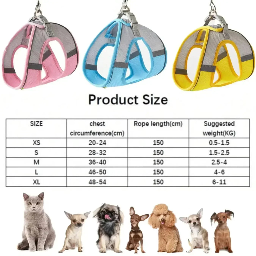 Escape-Proof Harness and Leash Set for Small Pets