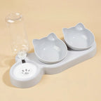 3-in-1 Tilted Pet Water and Food Bowl