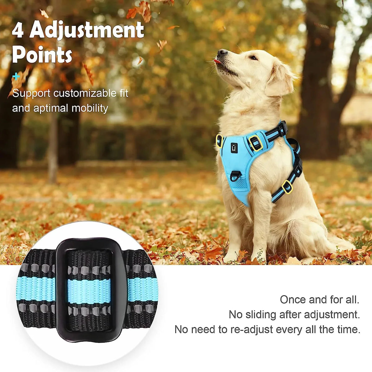 No-Pull Padded Dog Harness with Handle - view 5