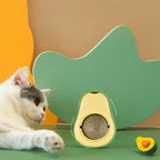 Wall-Mounted Catnip Ball Toy