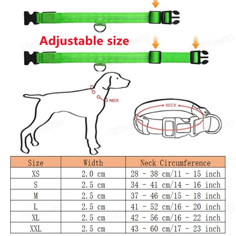 USB Rechargeable LED Dog Collar, 3 Light Modes - view 5