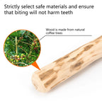 Natural Coffee Wood Chew Stick for Dogs - view 4