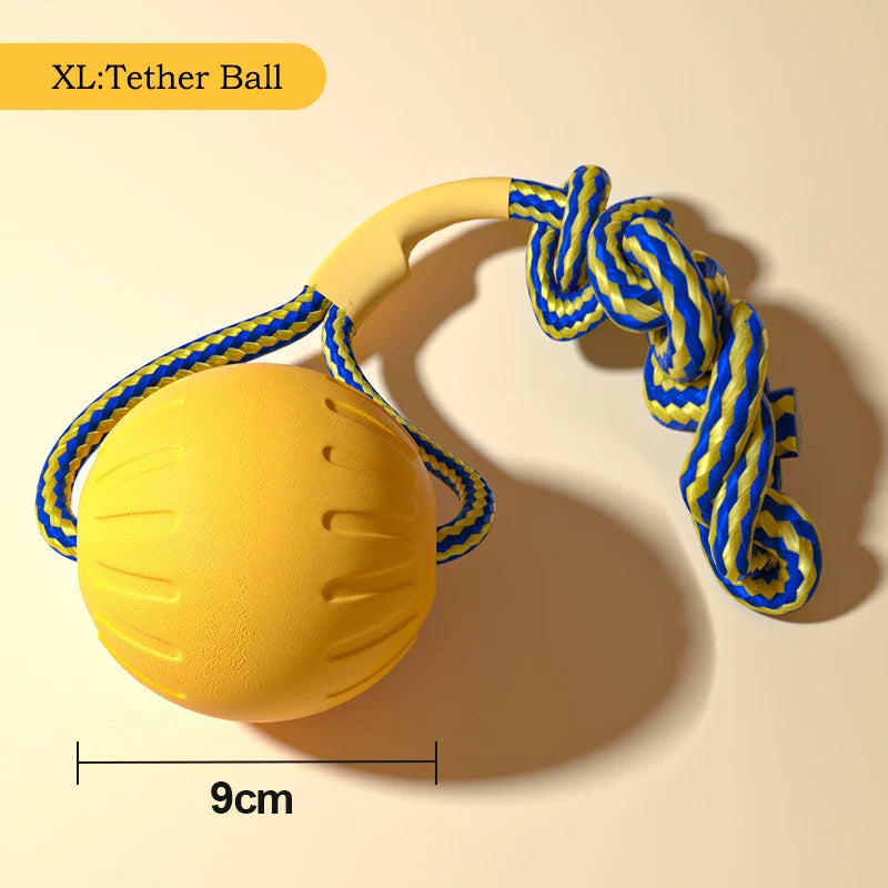 4-Piece Durable Dog Toy Set