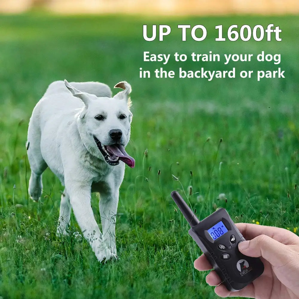 PaiPaitek No-Shock Vibration Dog Training Collar with Remote - view 4