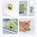Wall-Mounted Catnip Ball Toy