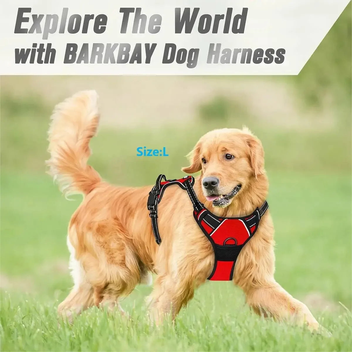 Leather Dog Collar, Harness and Leash Set - view 3