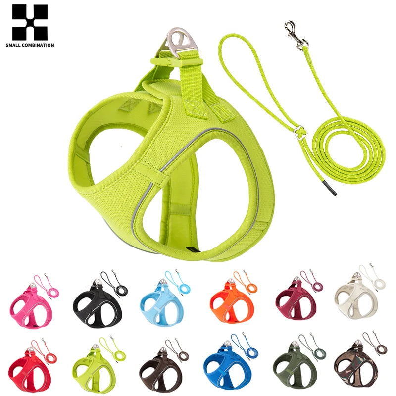 Reflective Adjustable Dog Harness and Leash Set