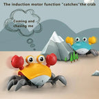 Musical Dancing Crab Toy for Cats and Dogs - view 3