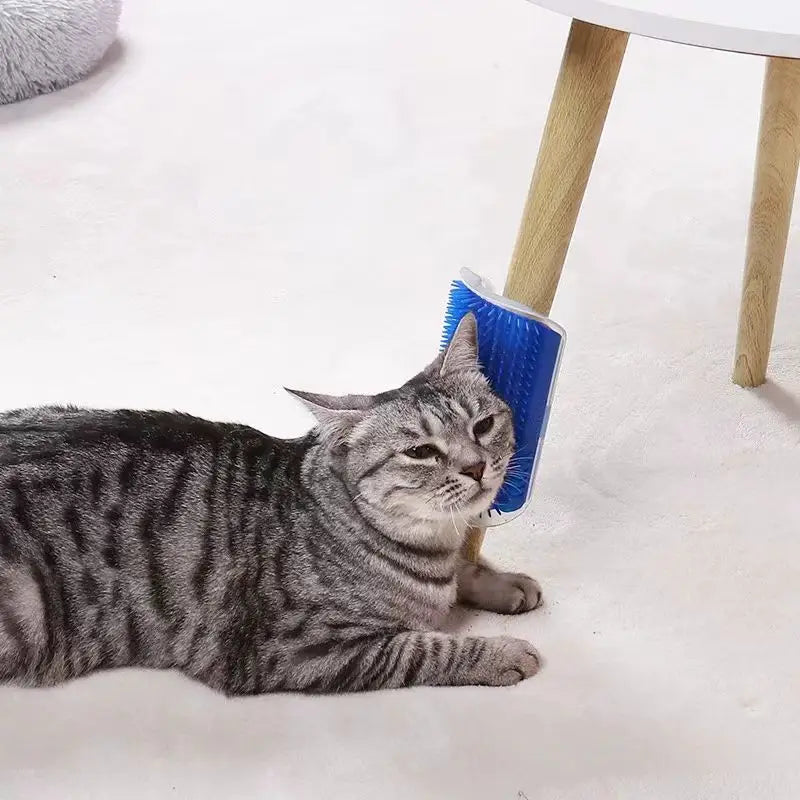 Wall Corner Self-Grooming Massage Brush for Cats - view 4