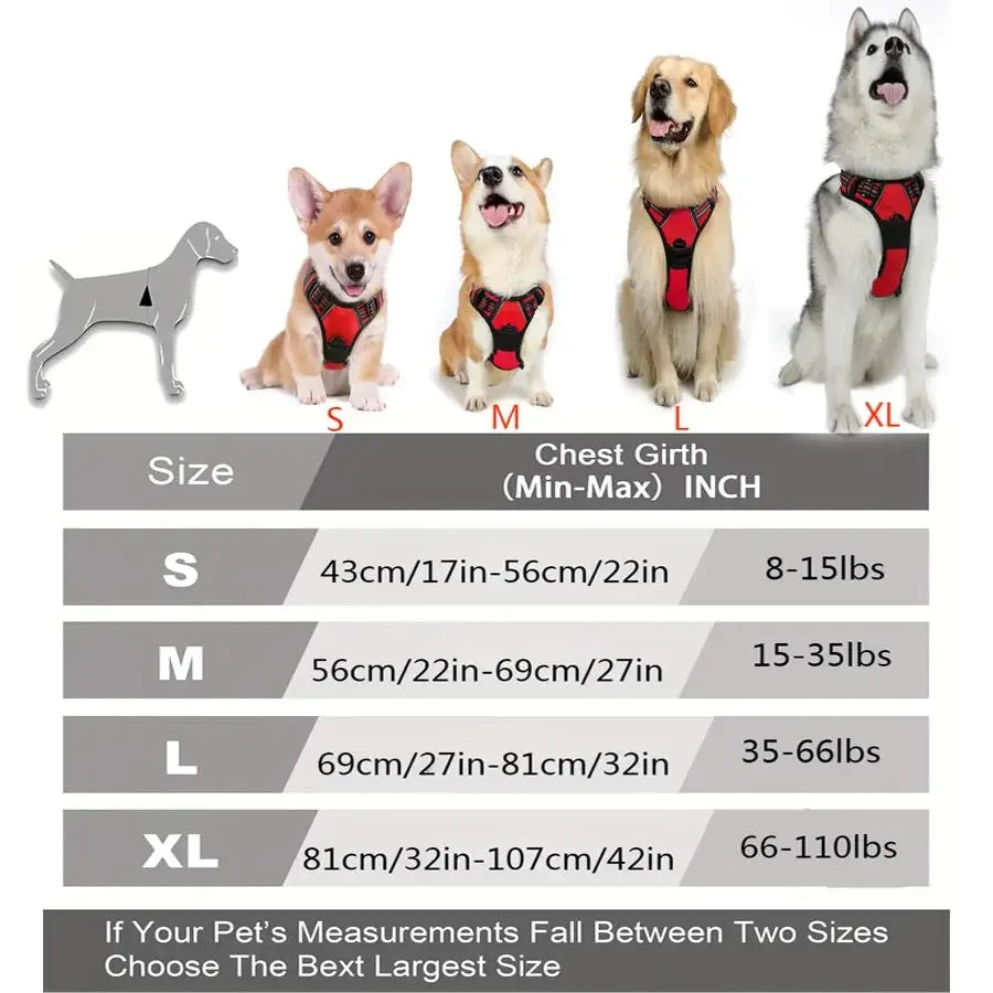 No-Pull Front-Clip Dog Harness - view 2