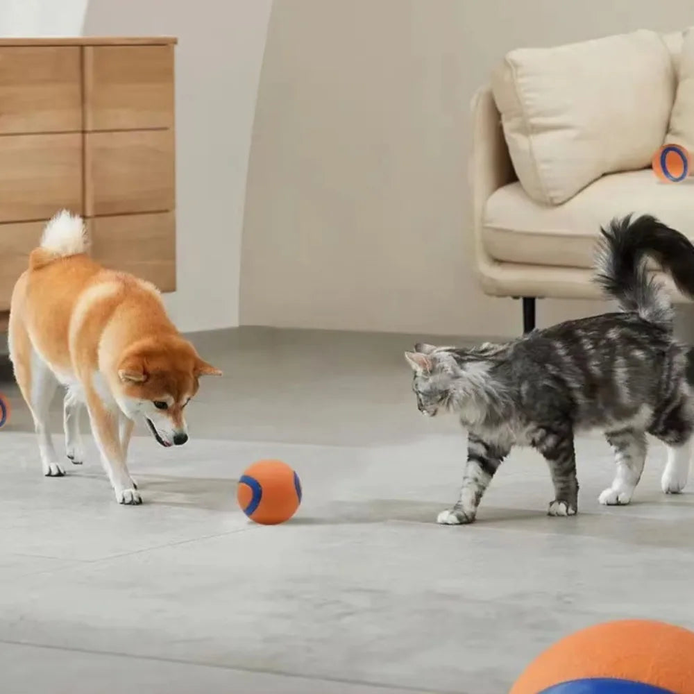 Durable Rubber Fetch Ball for Dogs