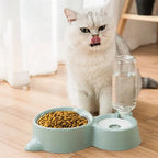 Automatic Pet Food and Water Fountain