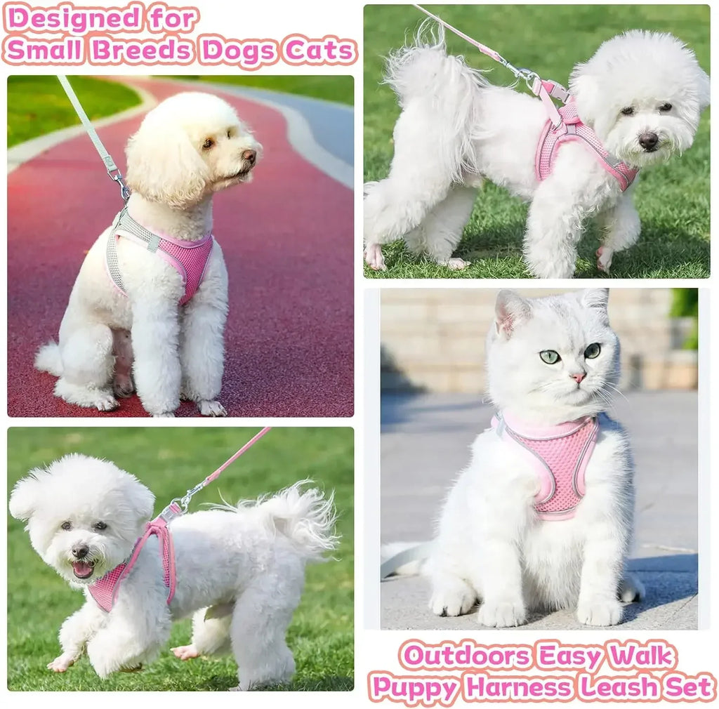 Escape-Proof Harness and Leash Set for Small Pets