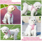Escape-Proof Harness and Leash Set for Small Pets