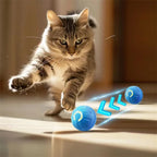 USB Automatic Bouncing Ball Toy for Dogs and Cats - view 3