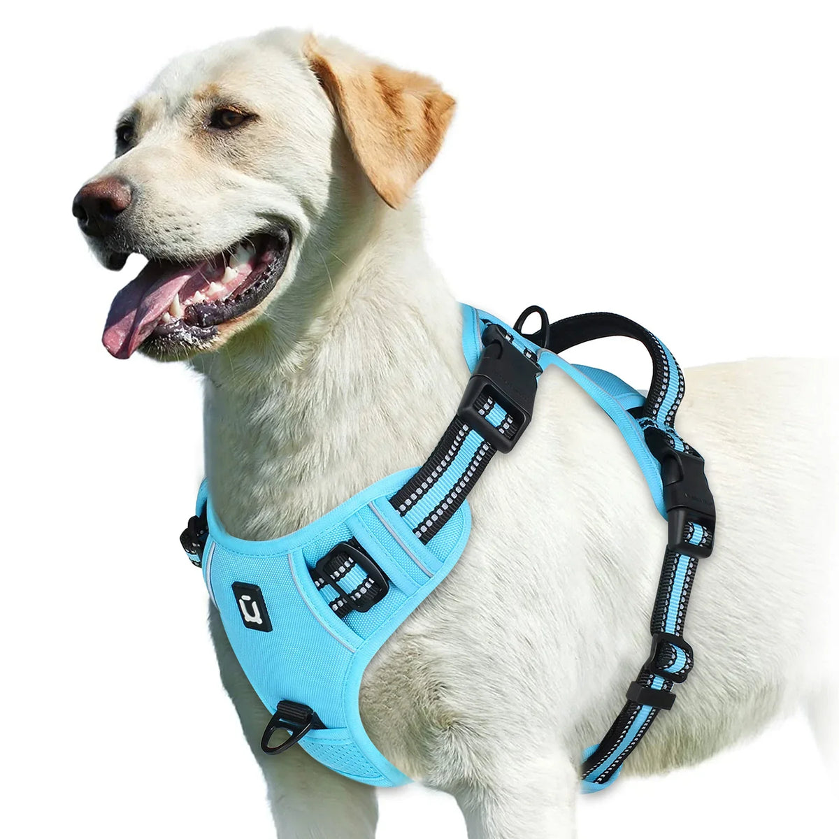 No-Pull Padded Dog Harness with Handle - view 13