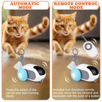 Remote Control Moving Car Toy for Cats and Dogs - view 5