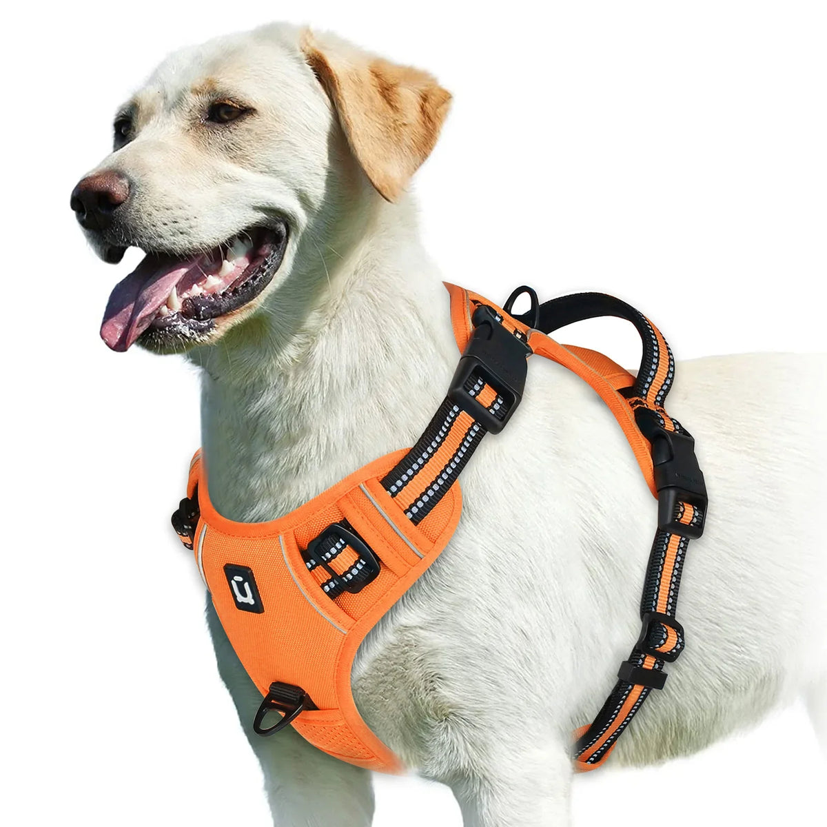 No-Pull Padded Dog Harness with Handle - view 14