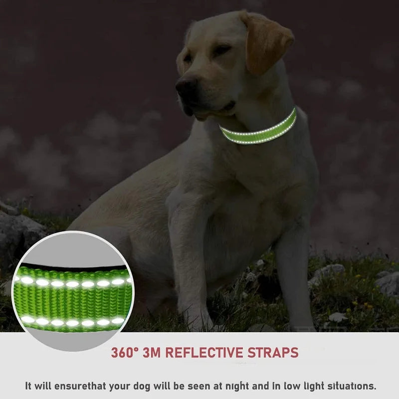 Decorative Choker Collar for Small Dogs - view 3