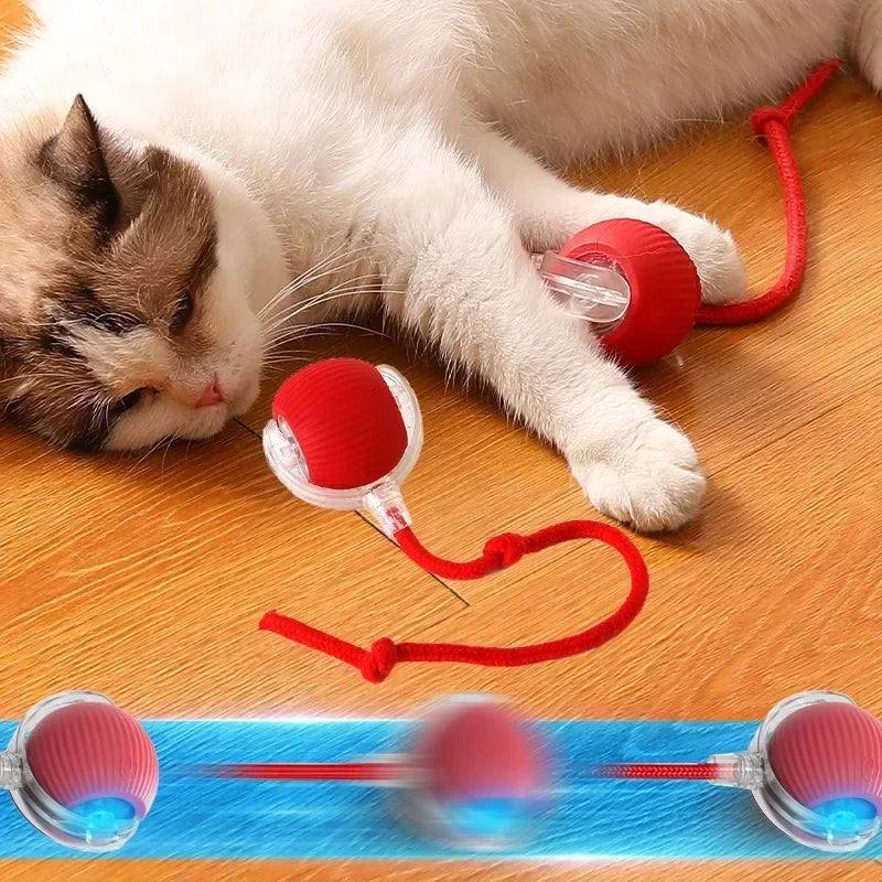 Automatic Rolling Ball Cat Toy with Tail, 1-3 Pack - view 4