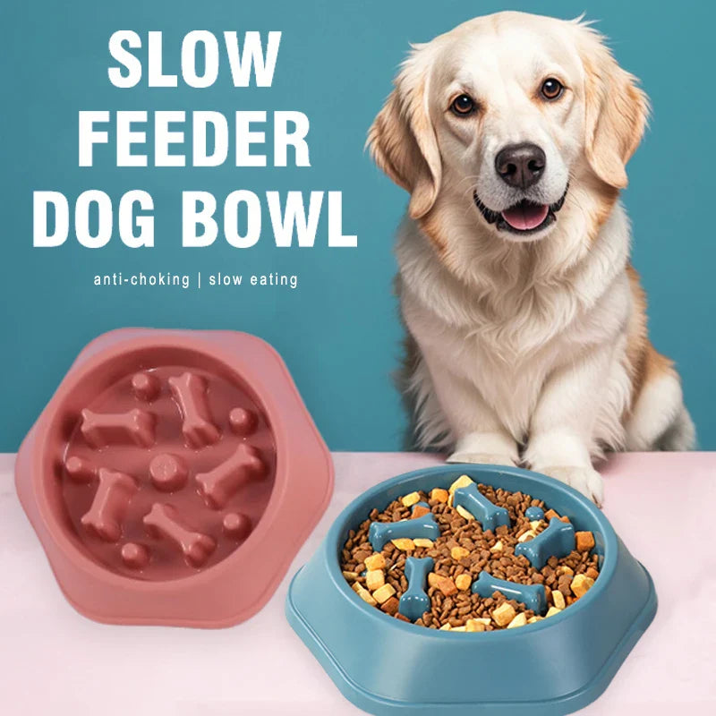 Anti-Choking Slow-Feeder Dog Bowl