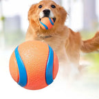 Durable Rubber Fetch Ball for Dogs