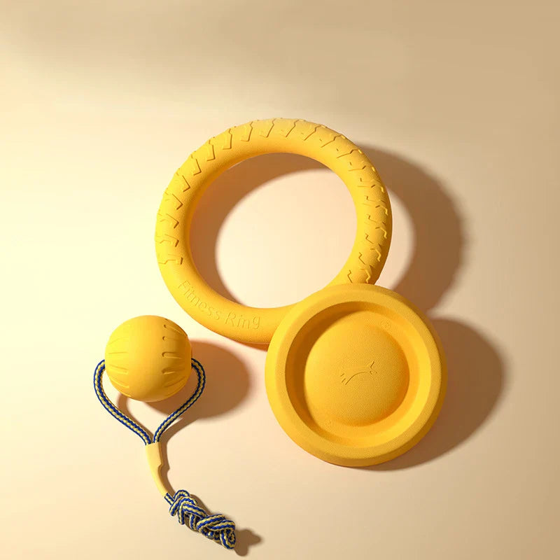 4-Piece Durable Dog Toy Set