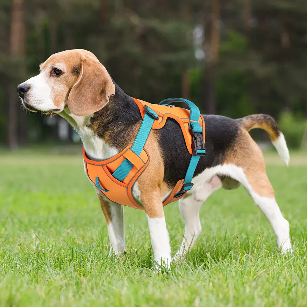 Reflective Mesh Dog Harness Vest - view 5