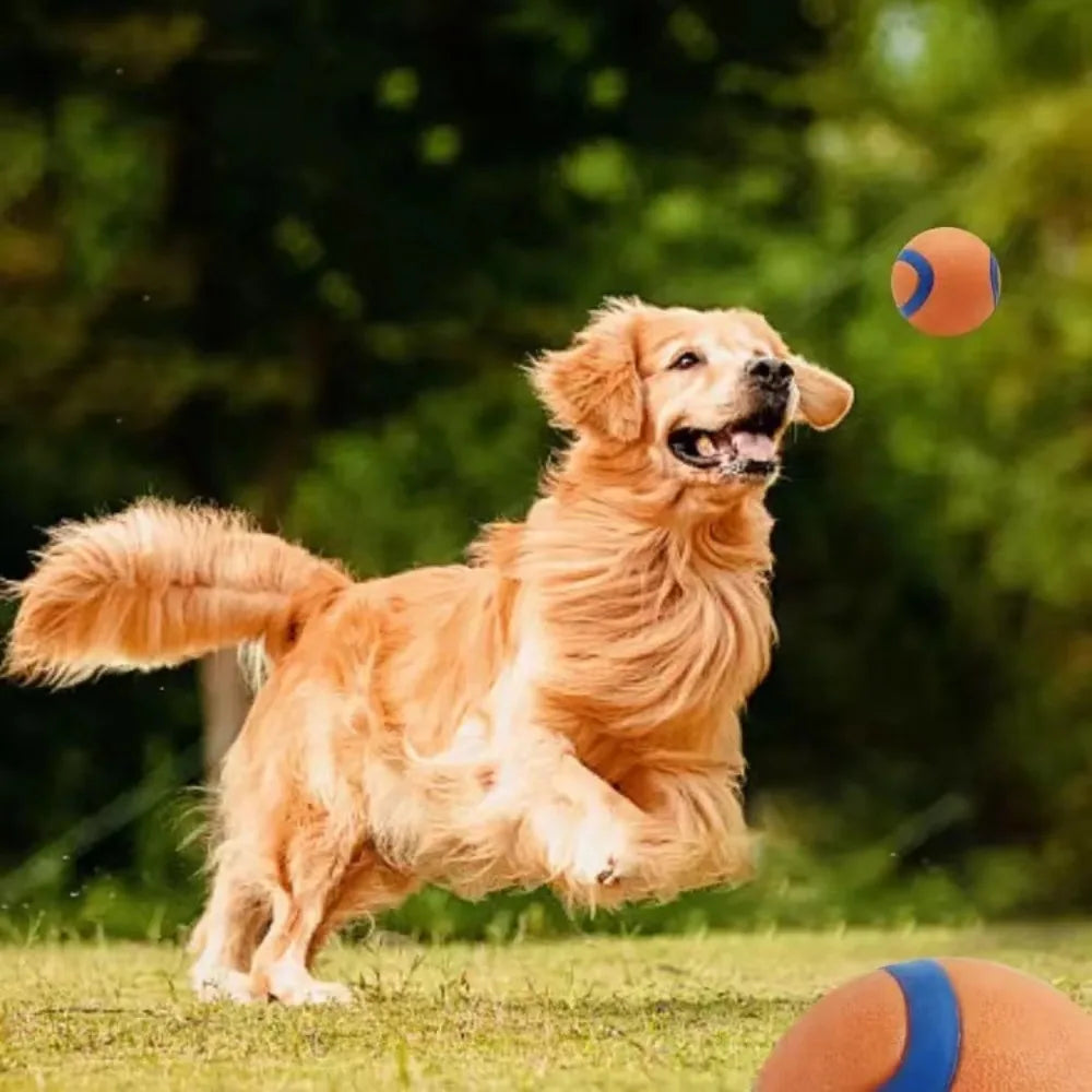 Durable Rubber Fetch Ball for Dogs