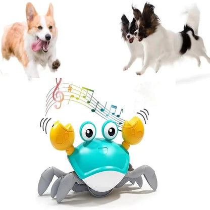 Dancing Crab Pet Toy with Music & Auto-Dancing, Interactive Fun for Cats Dogs - Indoor Pet Entertainment