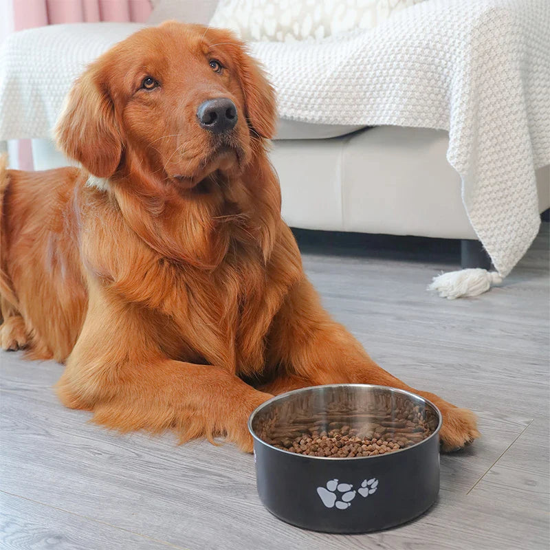 Cartoon Print Stainless Steel Pet Bowl for Dogs and Cats