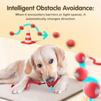 Rechargeable Smart Rolling Ball Cat Toy with Tail - view 4
