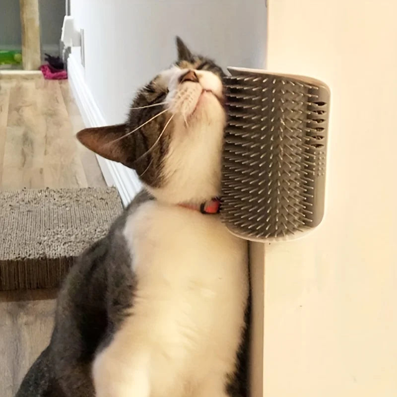 Wall-Mounted Self-Grooming Massage Brush for Cats