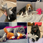 Corduroy Plush Squeaky Dog Toy